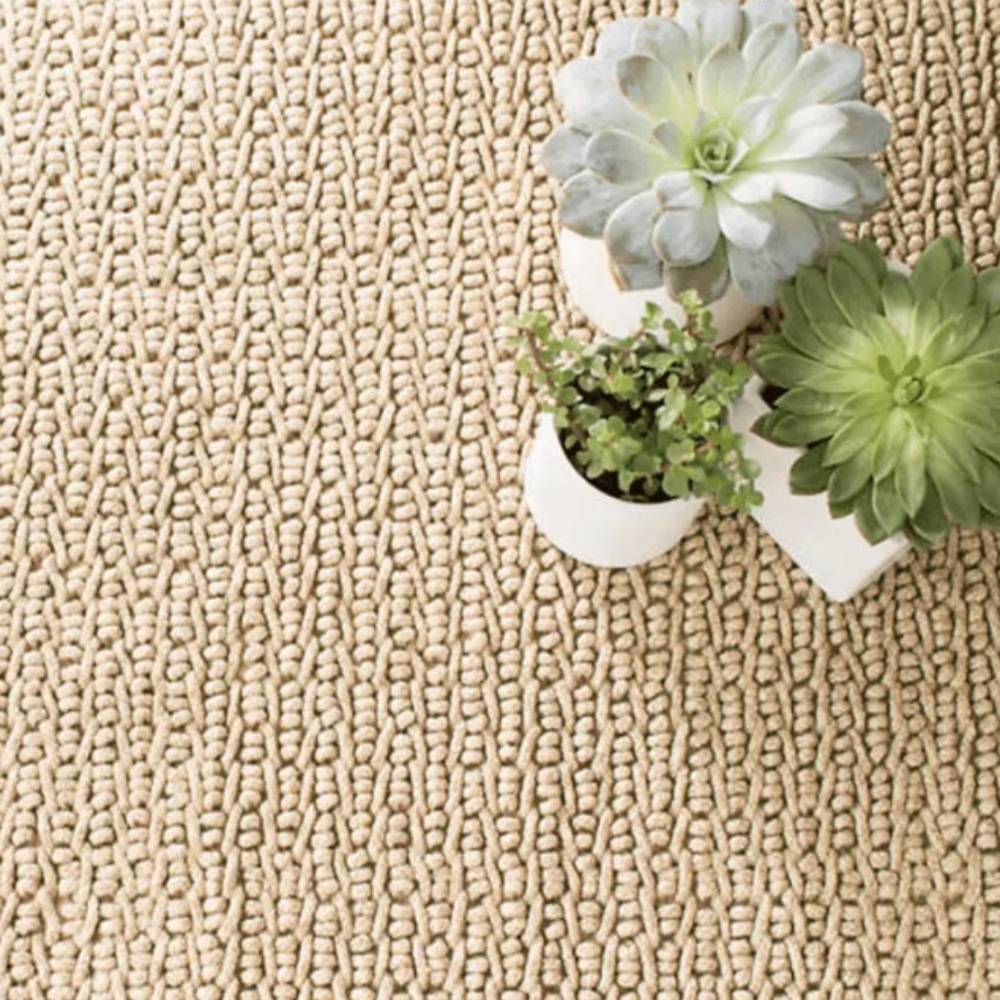 NWT Dash & Albert Veranda Natural Handwoven Performance Rug 3x5